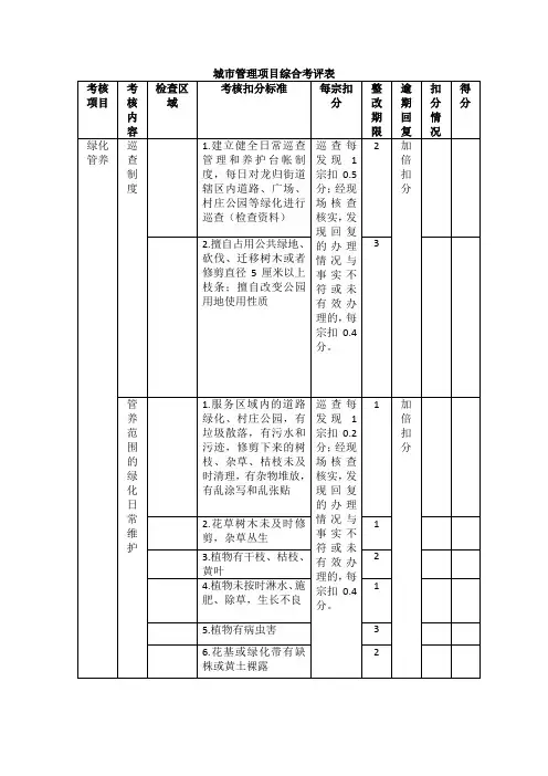 城市管理项目综合考评表