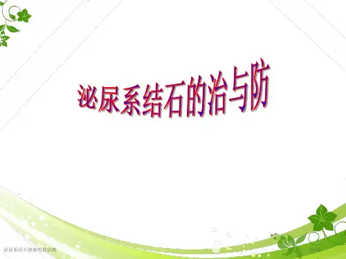 泌尿系结石健康教育宣教