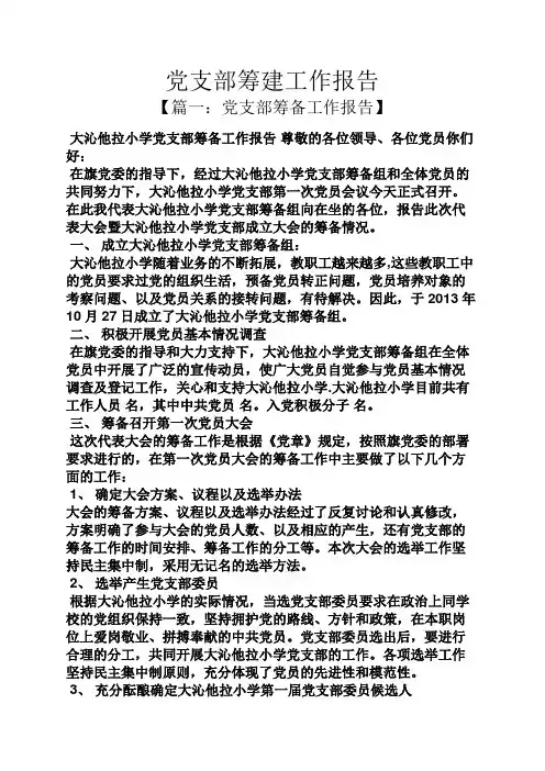 党支部筹建工作报告