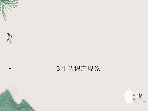 生活中的物理声现象优质课件