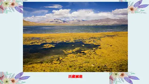 鲁教版九年级化学第八章第三节海水“制碱” 课件(68张)