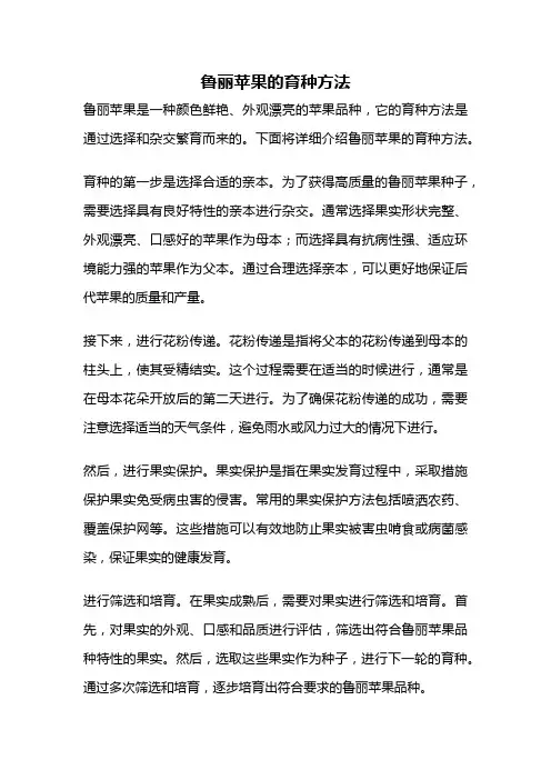 鲁丽苹果的育种方法