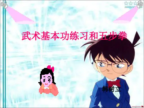 武术基本功和基本动作