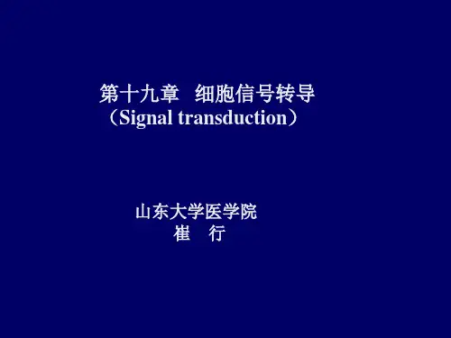第十九章-细胞信号转导
