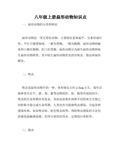 八年级上册扁形动物知识点