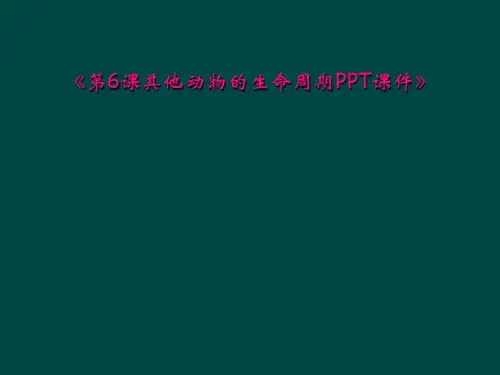 《第6课其他动物的生命周期PPT课件》