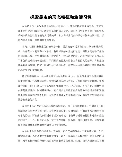 探索昆虫的形态特征和生活习性