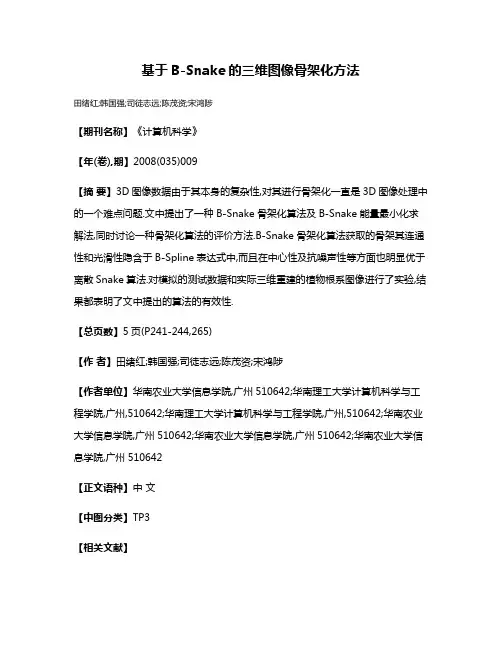 基于B-Snake的三维图像骨架化方法