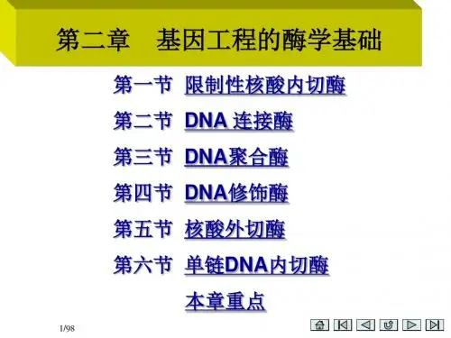 第二章基因工程酶学