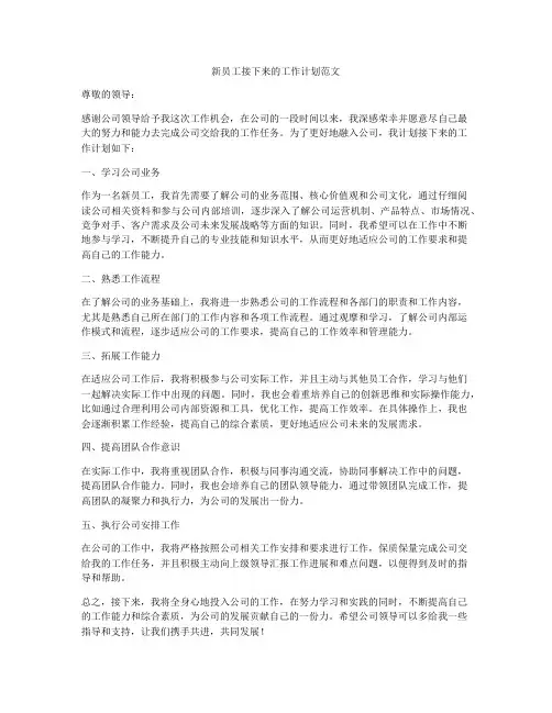 新员工接下来的工作计划范文