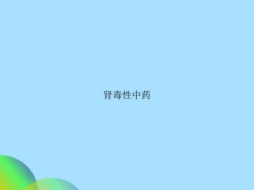 肾毒性中药