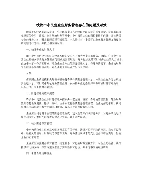 浅议中小民营企业财务管理存在的问题及对策
