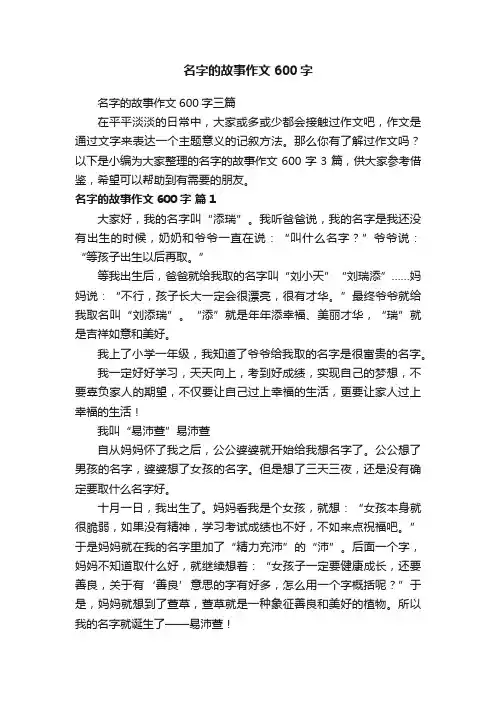 名字的故事作文600字三篇