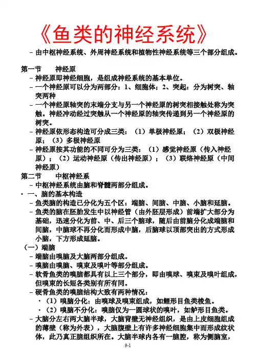 《鱼类的神经系统》