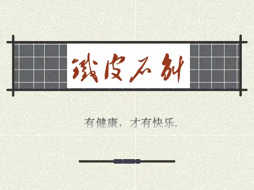 铁皮石斛的介绍 PPT课件