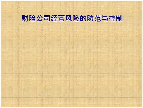 财险公司经营风险的防范与控制 