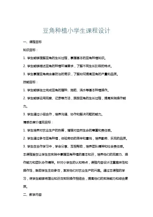 豆角种植小学生课程设计