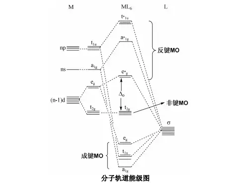 配合物分子轨道理