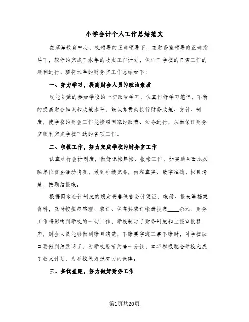 2024年小学会计个人工作总结范文（6篇）