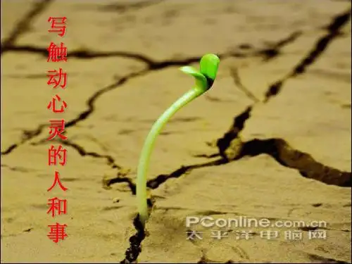 《心音共鸣——写触动心灵的人和事》最新课件