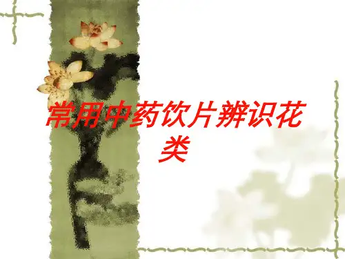 常用中药饮片辨识花类培训课件 - 副本