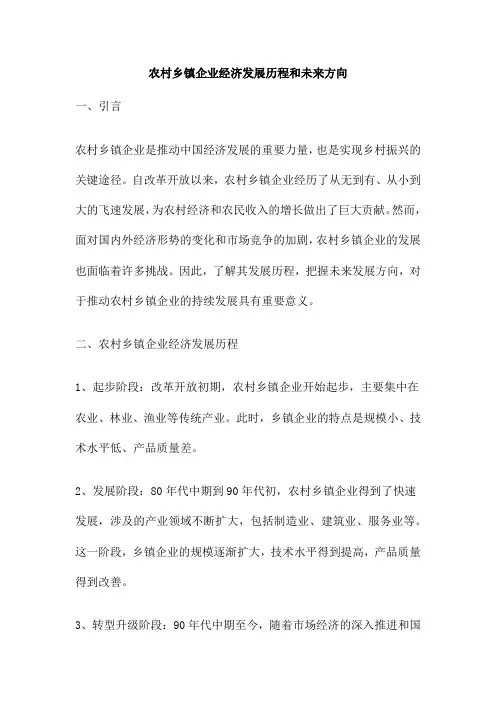 农村乡镇企业经济发展历程和未来方向