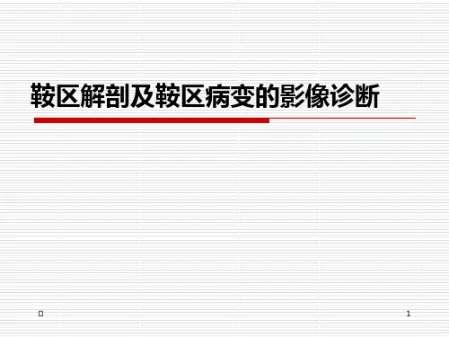 鞍区解剖及鞍区病变的影像诊断PPT课件