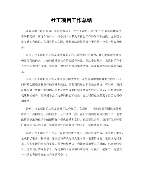社工项目工作总结