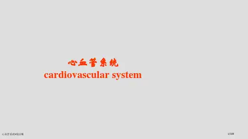 心血管系统X线诊断