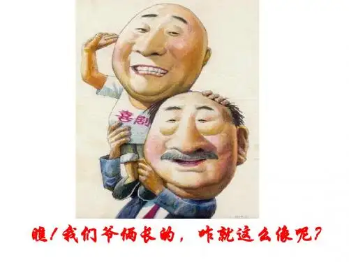 DNA的复制课件