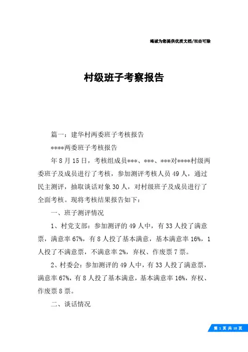 村级班子考察报告