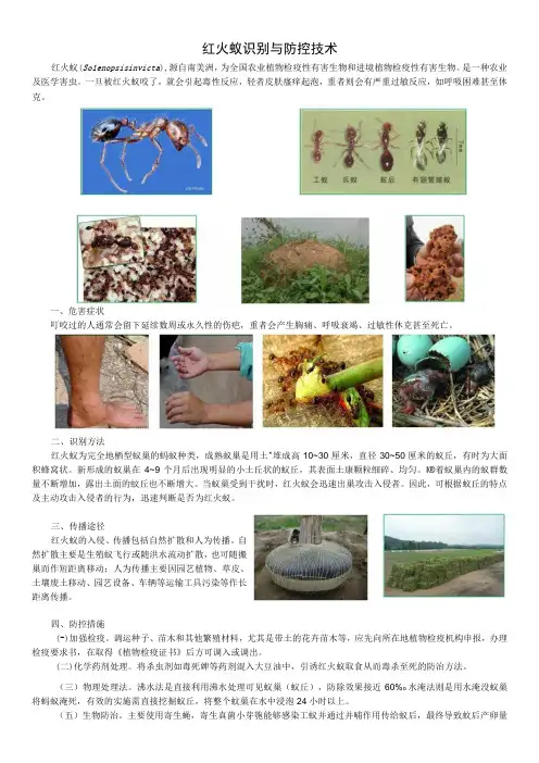 红火蚁识别与防控技术