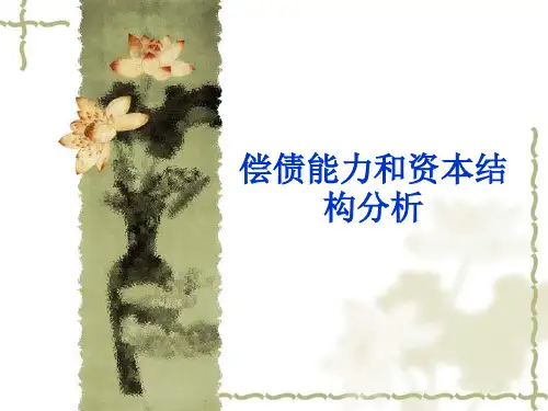 偿债能力和资本结构分析(PPT 43页)