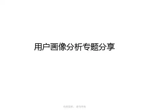 互联网大数据分析之用户画像分析PPT模板