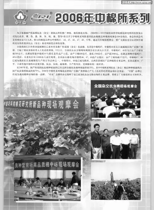 2006年中棉所系列棉花新品种现场观摩会纪实