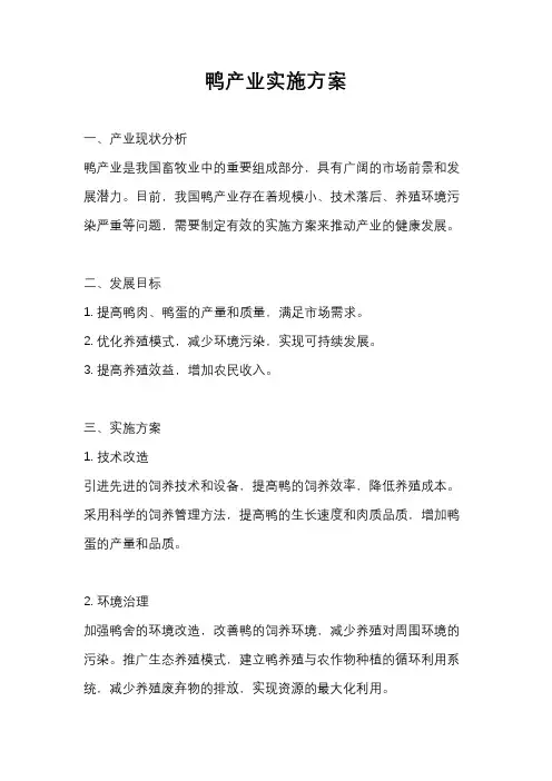 鸭产业实施方案