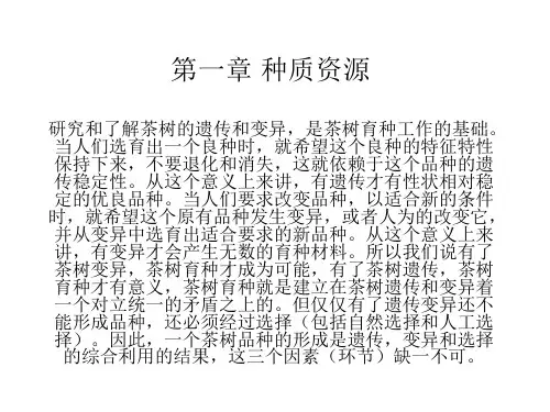 茶树育种学第一章  种质资源