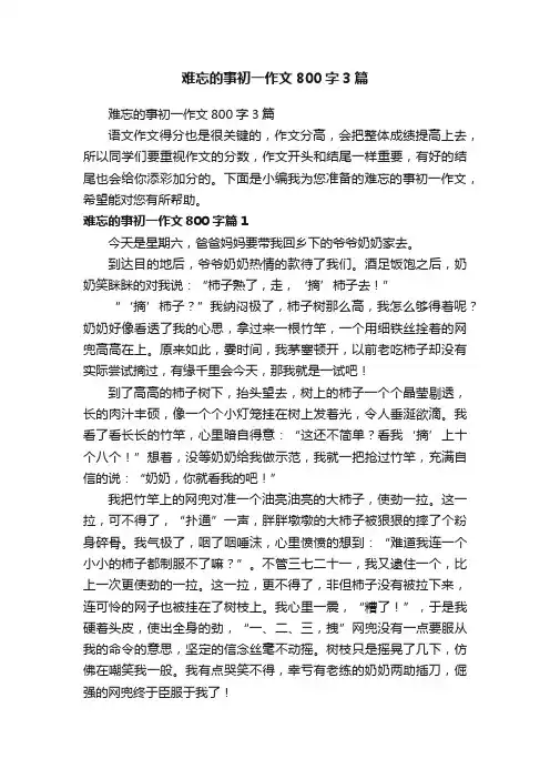 难忘的事初一作文800字3篇