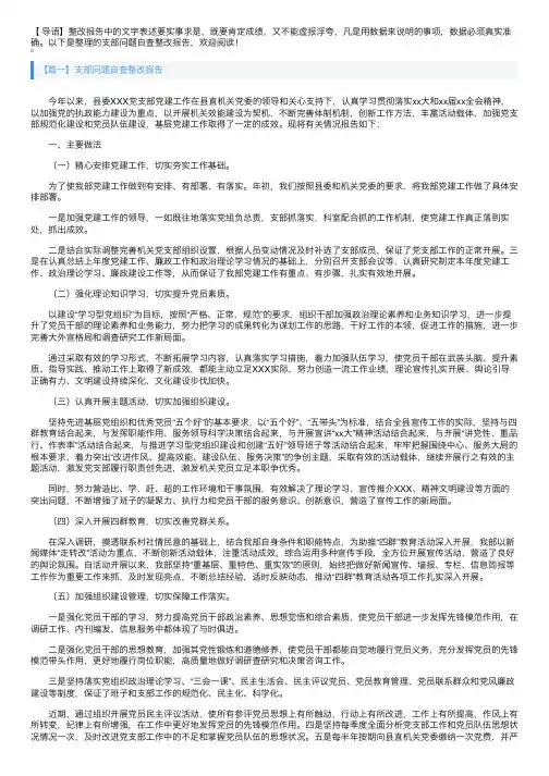支部问题自查整改报告