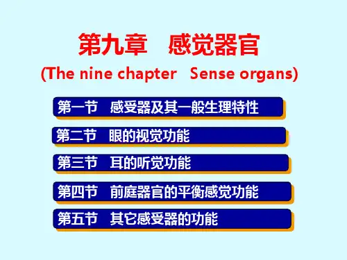 生理学课件-感觉器官