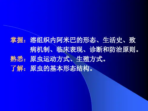 医学寄生虫学-医学原虫概论