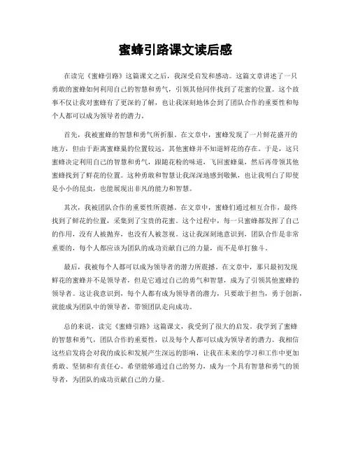 蜜蜂引路课文读后感