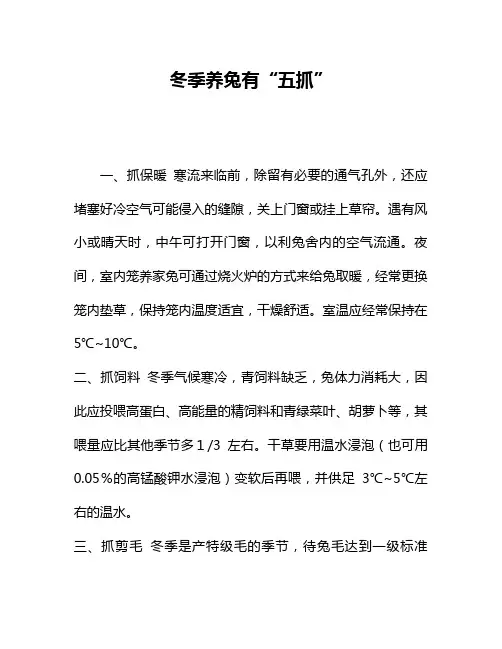 冬季养兔有“五抓”