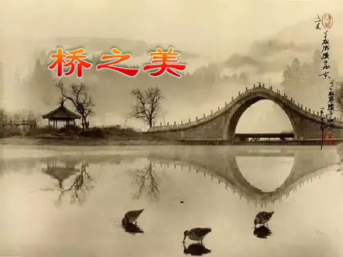 桥之美-PPT课件 