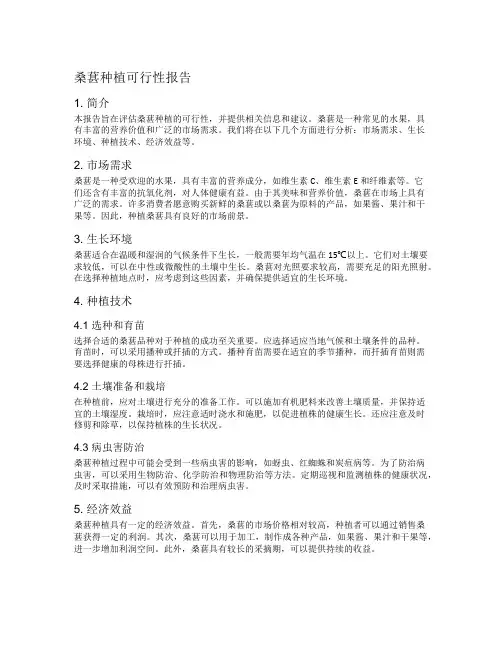 桑葚 种植可行性报告