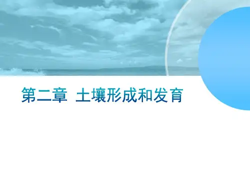 土壤形成和发育