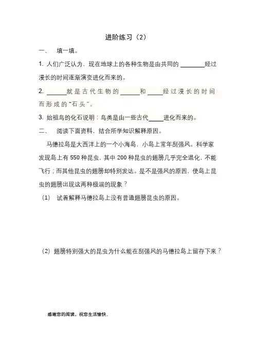 进阶练习(2)第六版
