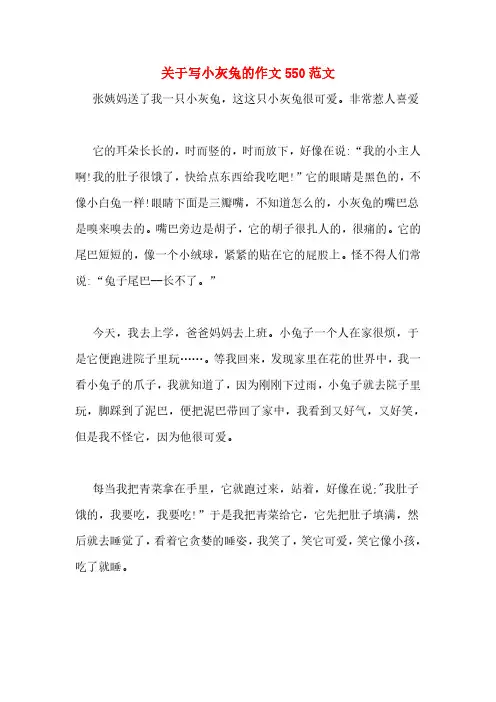 关于写小灰兔的作文550范文