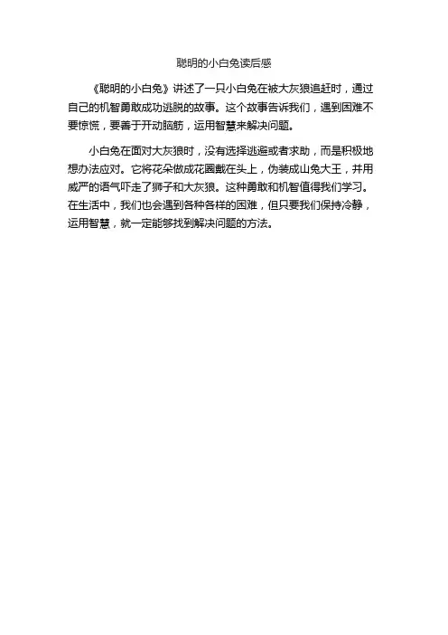 聪明的小白兔读后感