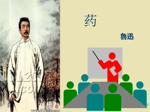 《药》ppt课件